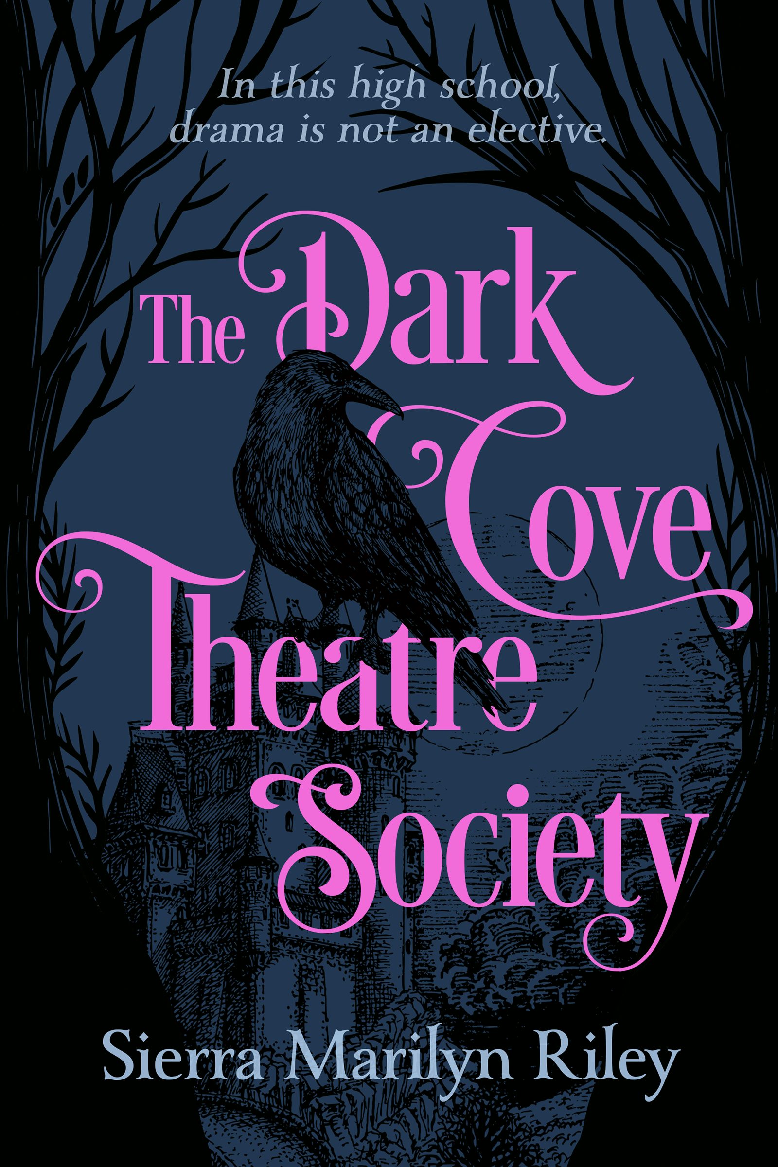 Book cover image for The Dark Cove Theatre Society ISBN: 9781834020082